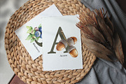 Forest Alphabet Watercolor Clipart, an Education Illustration by AnitaPol (Thumbnail 2 of 12)
