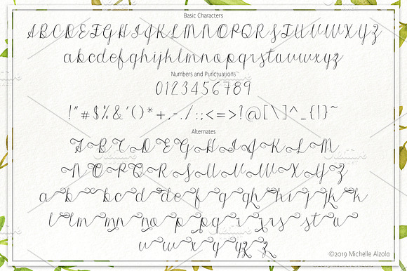 Morri Belle Script preview 5