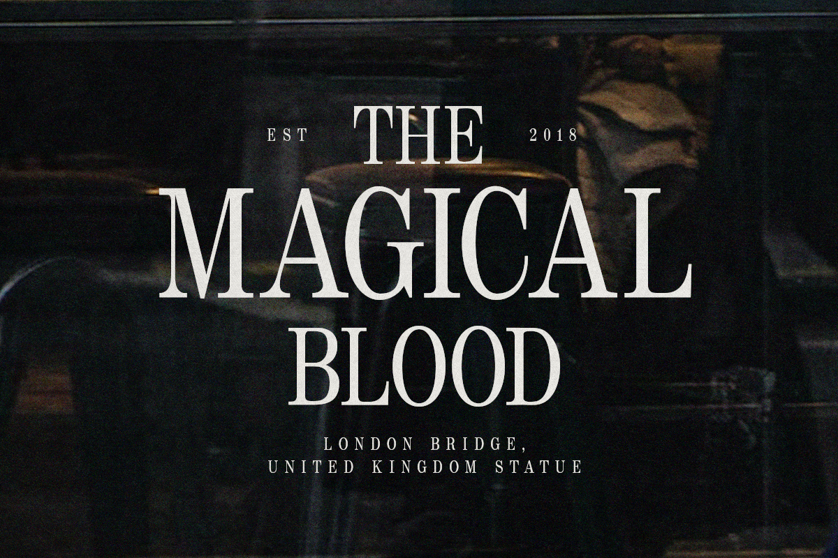 Wildest - Classical Serif, a Serif Font by Tammami (Photo 3 of 9)