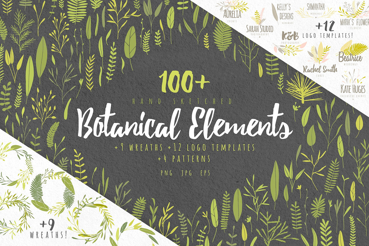 Vector Botanical Elements +Extras!, a Decorative Illustration by eclosque (Photo 1 of 5)