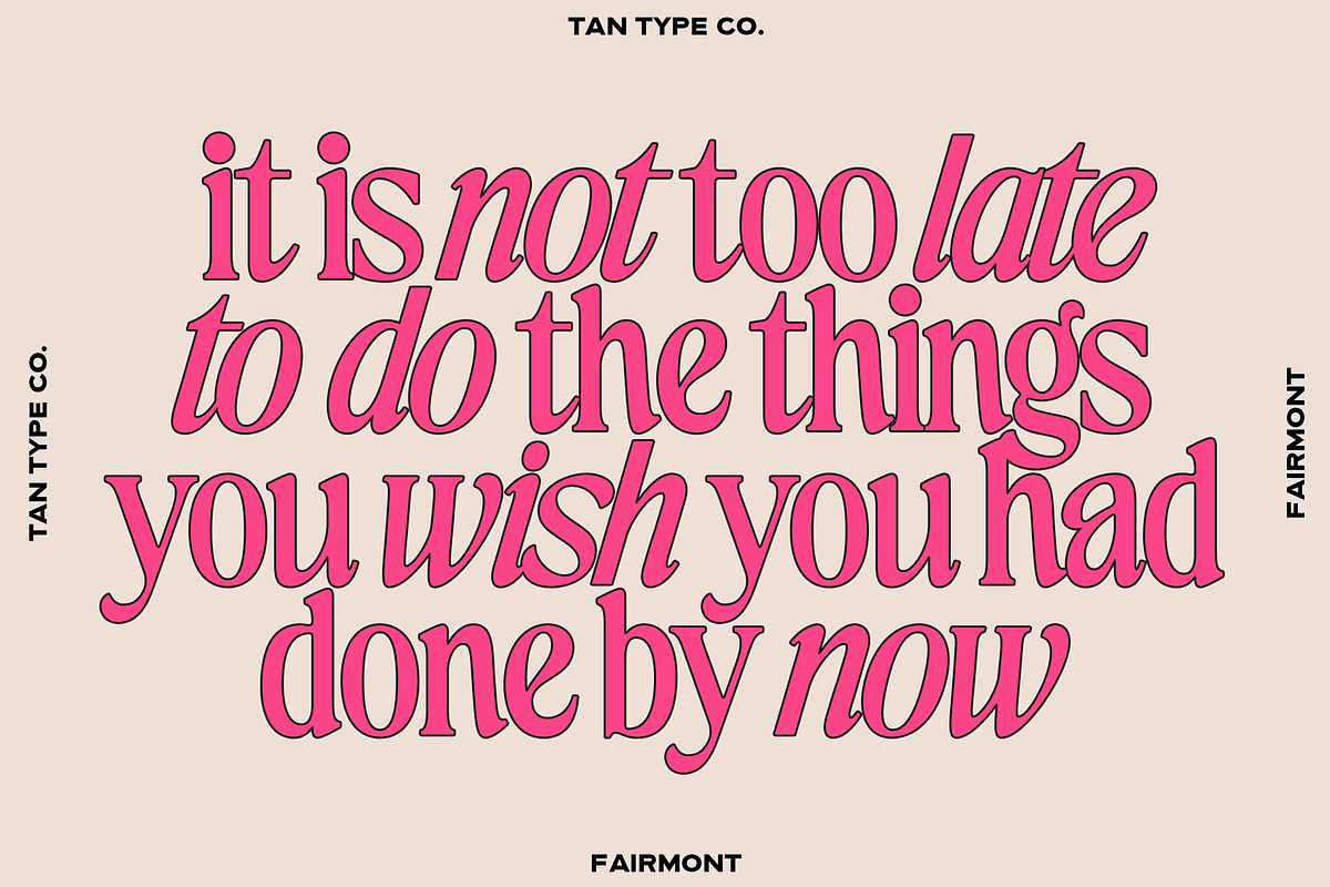 TAN-FAIRMONT DUO FONT, a Serif Font by TanType (Photo 9 of 10)