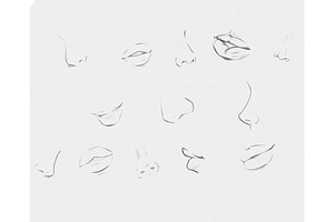 Noses And Lips Stamps Brushes For Pr