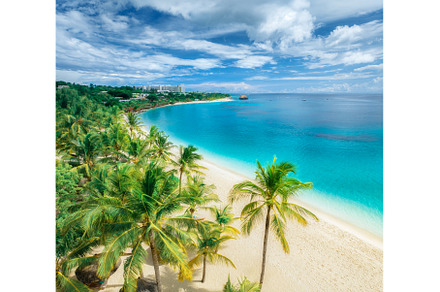 Aerial view of palms, sandy beach, a Nature Photo by den-belitsky