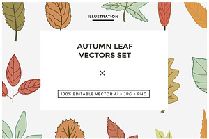 Autumn Leaf Vectors