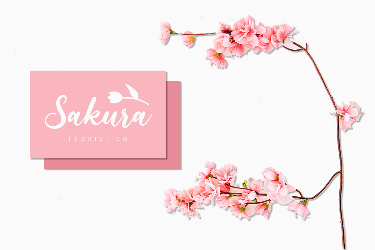 Cherry POP - Bold Script Font preview 3