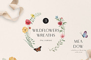 MEADOW bright wild flowers set, a Decorative Illustration by Grace Noboa Illustrations (Thumbnail 5 of 8)