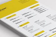 Polaris Resume Template, a Resume Template by Nina Shaw (Thumbnail 12 of 18)