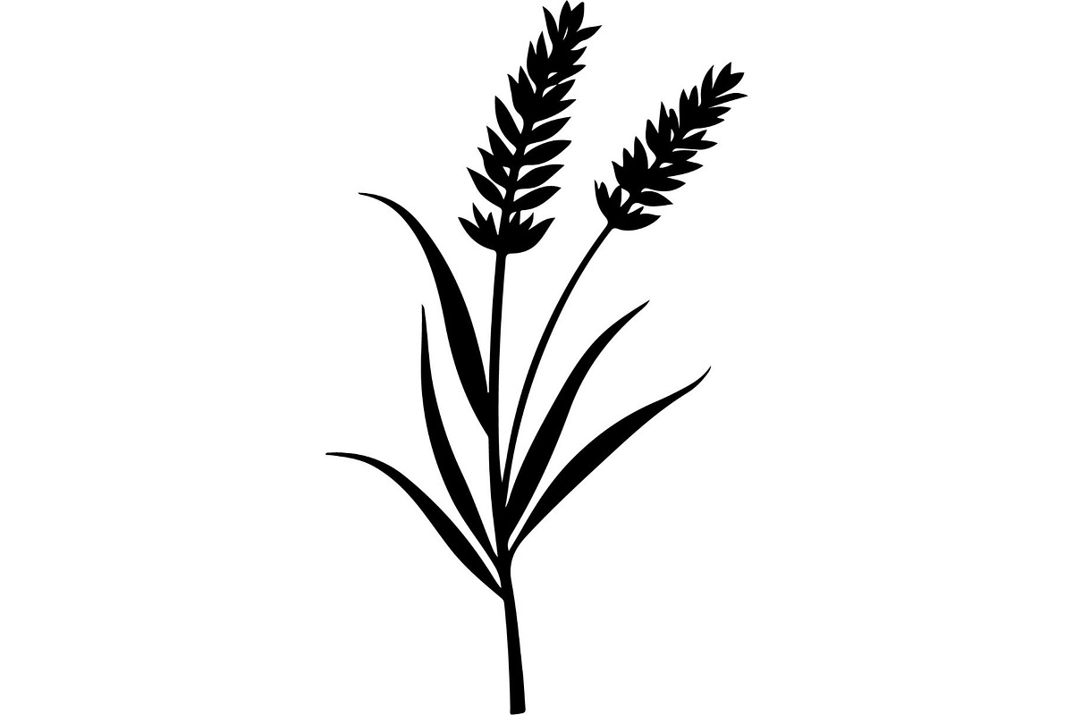 Decorative Tribal Feather Vector, an Object Graphic by Designer_Momina (Photo 6 of 18)