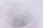 Nacre Pearlescent Backgrounds, a Background Graphic by alonahaidash (Thumbnail 2 of 13)