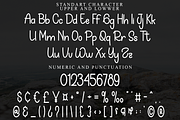 Angelina Shawn, a Sans Serif Font by FreshTypeINK (Thumbnail 7 of 8)