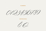 Saint Viet | Calligraphy Font, a Script Font by Calamar Studio (Thumbnail 14 of 29)
