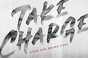 Take Charge - OpenType SVG Font, a Sans Serif Font by Greg Nicholls (Thumbnail 1 of 8)