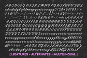 Calbera - Font Duo, a Script Font by Letter Fresh (Thumbnail 12 of 13)