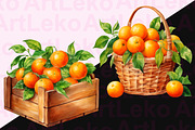 Oranges Watercolor Clipart, a Food Illustration by LekoArt (Thumbnail 7 of 10)