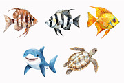 Cute Sea Animals Clipart, an Illustration by Design Market (Thumbnail 5 of 5)