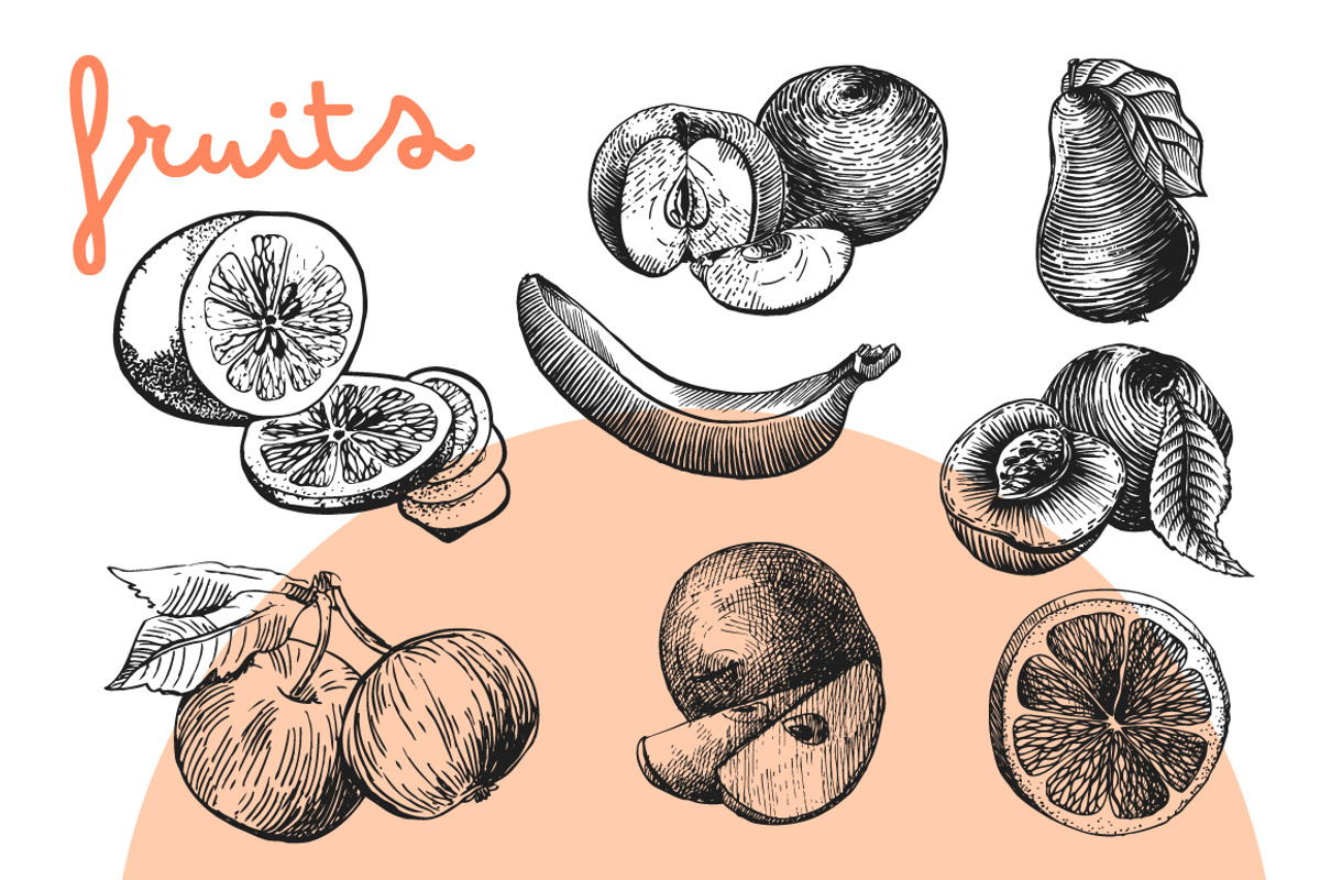 BIG set of food sketches, a Food Illustration by Steshnikova (Photo 3 of 16)