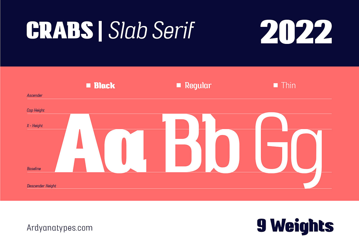Crabs Slab Serif Font, a Slab Serif Font by Ardyanatypes (Photo 5 of 12)