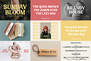 The Modern & Unique Font Bundle #02, a Serif Font by Prioritype Co (Thumbnail 15 of 17)