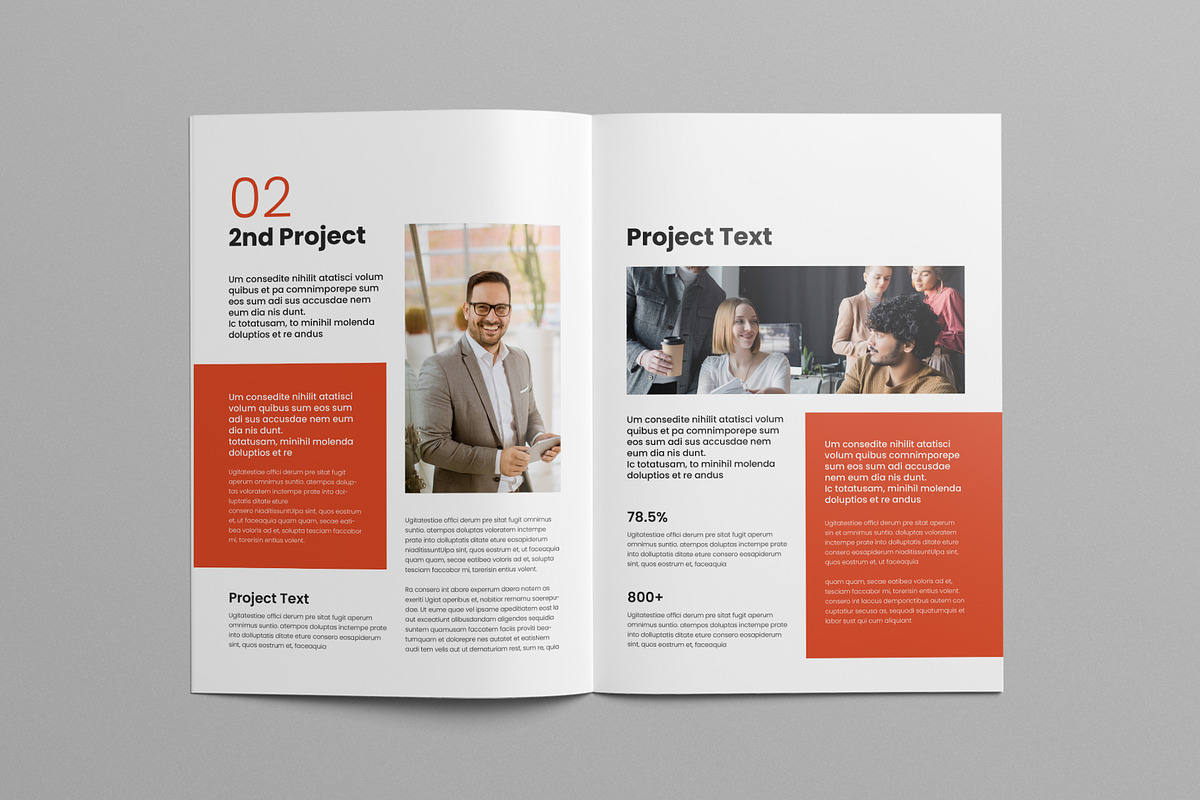 Case Study Booklet | INDD, a Brochure Template by Pixelpick (Photo 7 of 9)