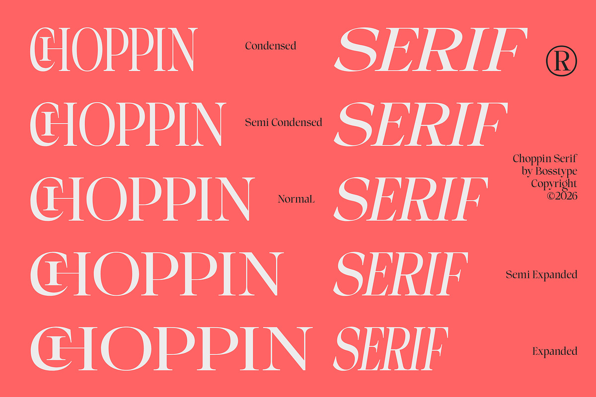 Choppin Serif | 91 Style Font, a Serif Font by Bosstype Studio (Photo 2 of 15)