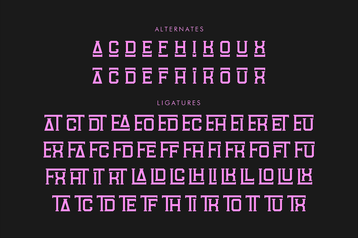 Brocket Flaming Display Font, a Serif Font by Storytype Studio (Photo 14 of 15)