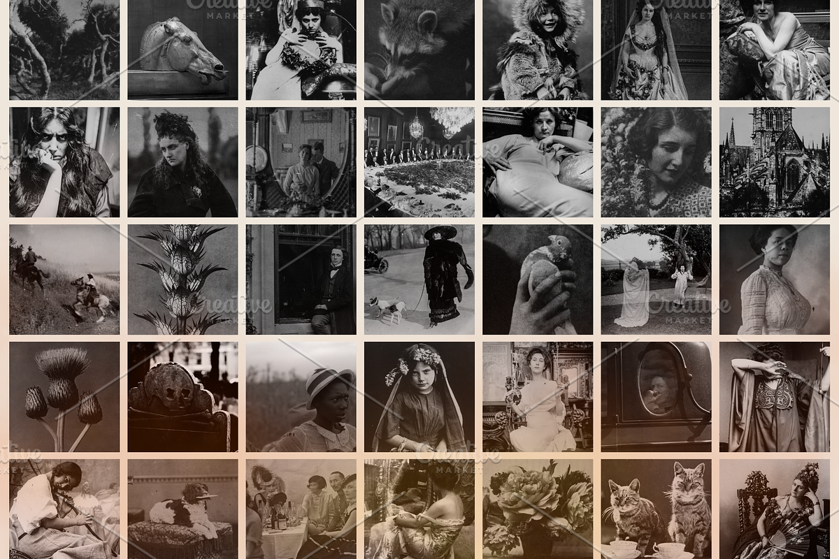 Dark Ephemera Stock Photo Bundle, a Person Photo by The Flossy Finch (Photo 5 of 16)