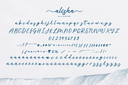 Alisha - Sweet Calligraphy Font, a Script Font by alphArtype (Thumbnail 7 of 9)