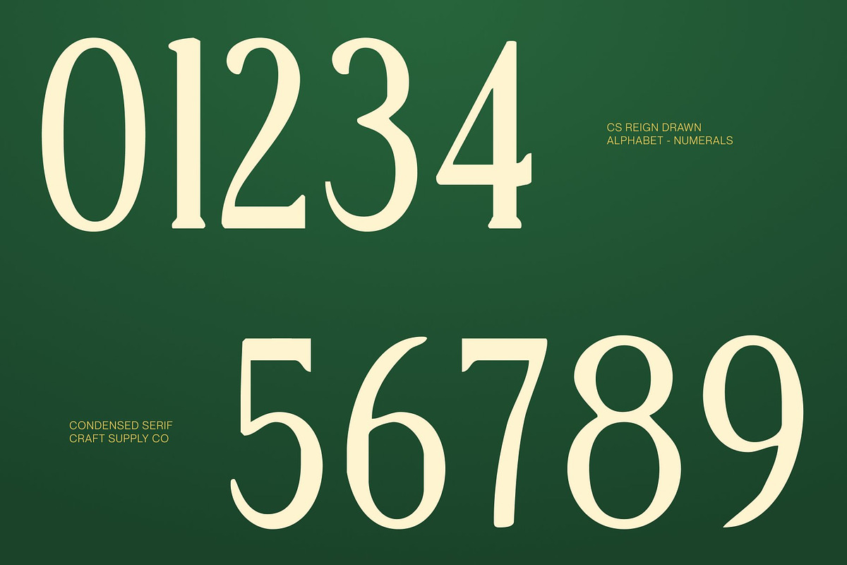 CS Reign Drawn, a Serif Font by Craft Supply Co. (Photo 3 of 8)