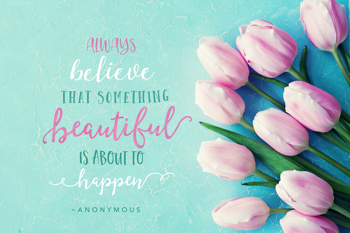 90% OFF- The Handlettered Fontbox, a Handwritten Font by Nicky Laatz (Photo 11 of 15)