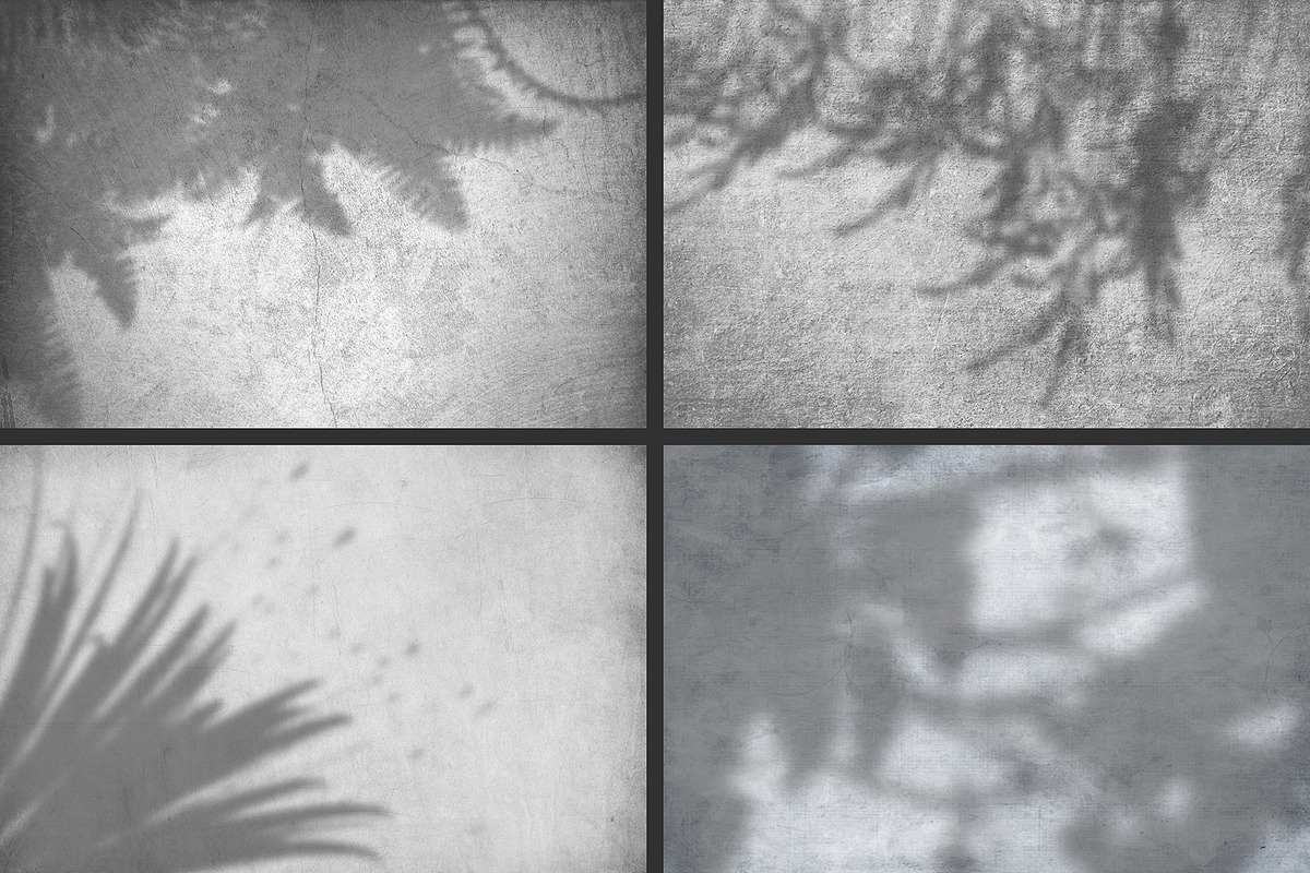 50 plants shadows, a Mockup by AnastasiyaOleynik (Photo 3 of 14)