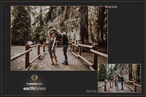 Earth Tones - PS ACR Presets