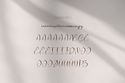 Fortune Messenger Handwritten Script, a Sans Serif Font by gracetype_studio (Thumbnail 10 of 12)