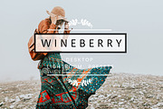 Desktop Lightroom Presets WINEBERRY, an Action Add-On by Victoria Bee Presets (Thumbnail 1 of 29)