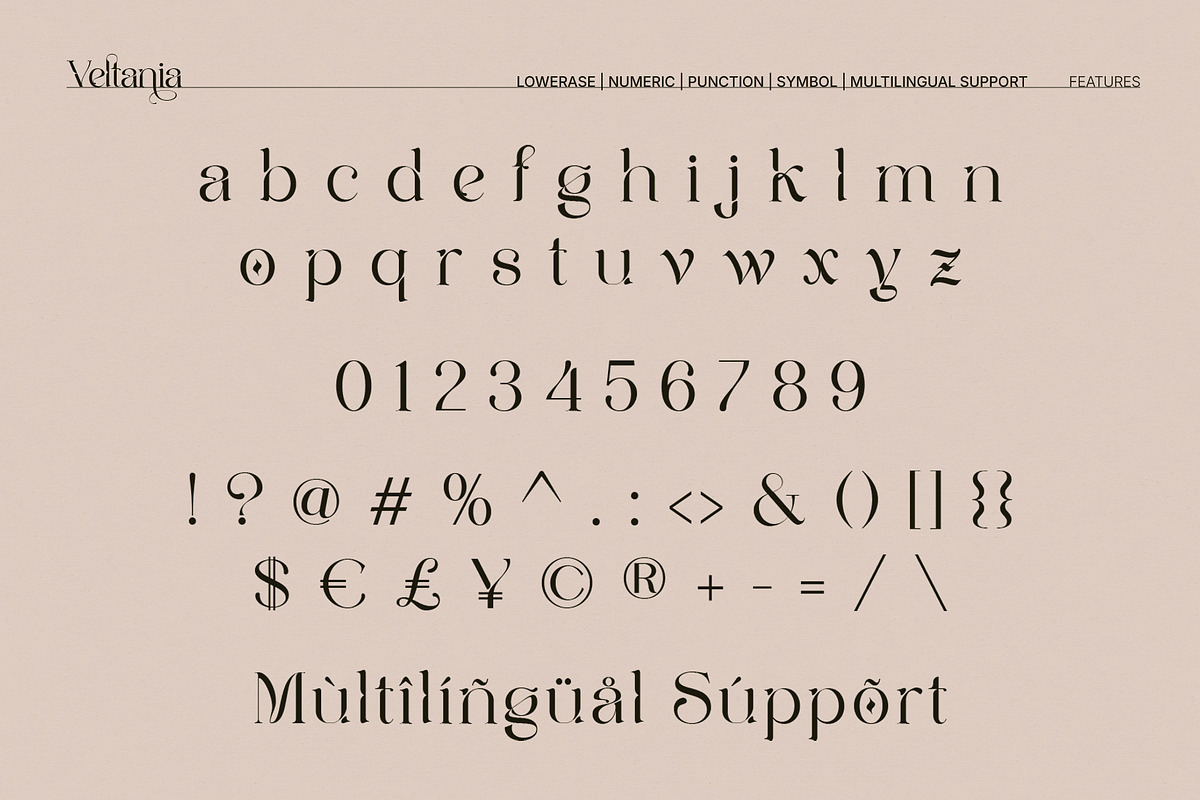 Veltania - Modern Serif Font, a Serif Font by Inviline.co (Photo 4 of 14)