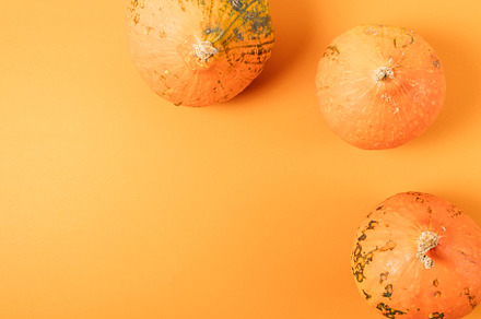 Autumn composition with organic pumpkins, a Food & Drink Photo by progressman