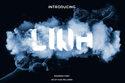 LINA, a Serif Font by Dz Akali (Thumbnail 1 of 29)