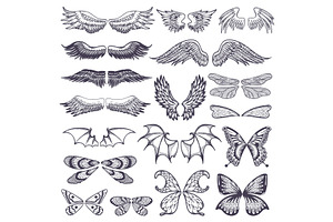 Wings Vector Flying Winged Angel With Wing-case Of Bird And Butterfly With Wingspan Illustration Black Wing-beat Tattoo Silhouette Set Isolated On Whi