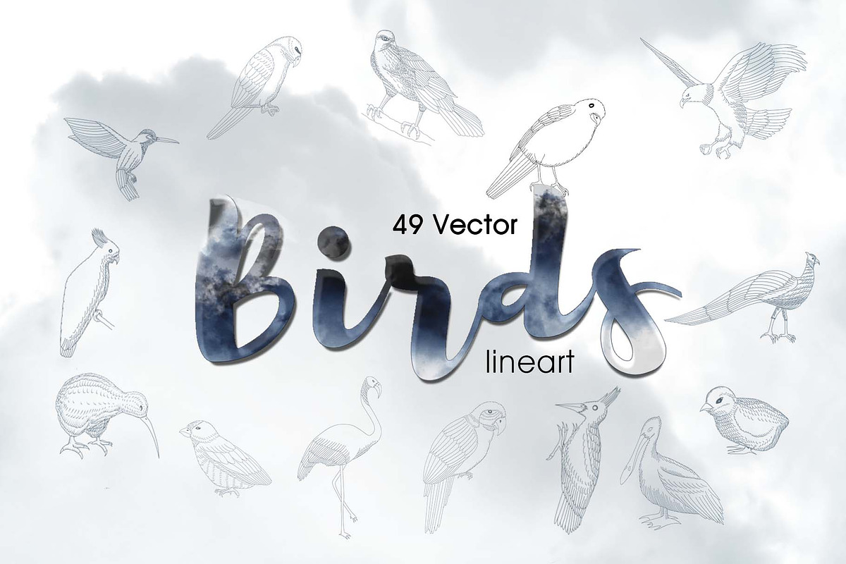 49 Birds Collection, an Animal Illustration by RHY Studio (Photo 1 of 3)