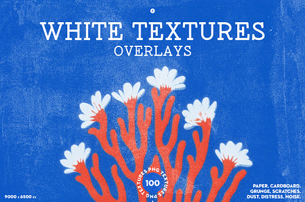 100 White Textures Overlays, a Texture Graphic by Freezerondigital