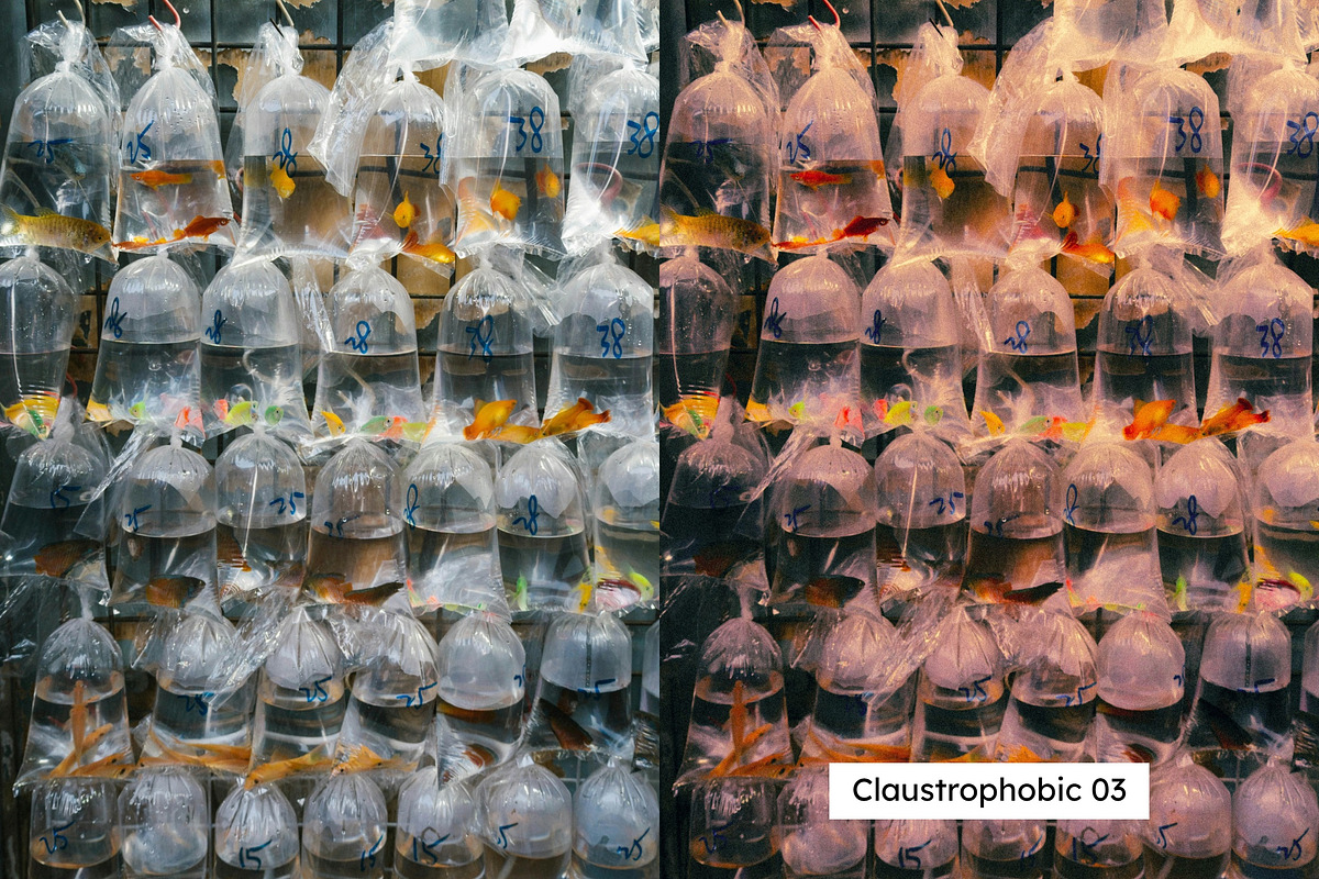 25 Chungking Lightroom Presets LUTs, a Preset Add-On by SparkleStock (Photo 4 of 14)