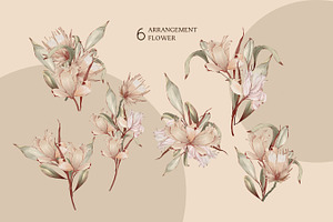 DRY FLOWERS Pattern Collection