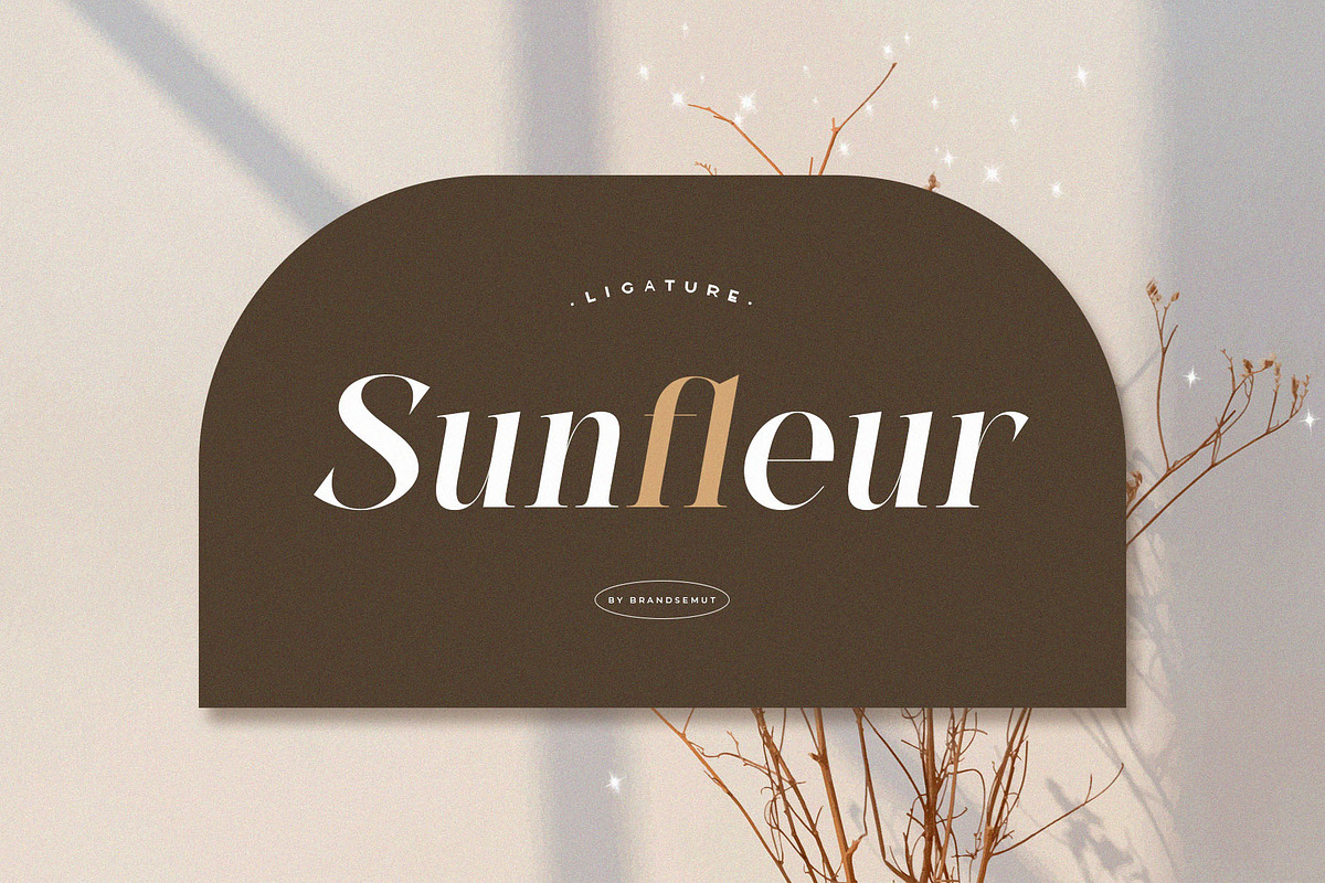 Sunder – Modern Elegant Serif Font, a Serif Font by BrandSemut (Photo 4 of 10)