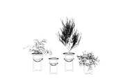 Interior Plants Trio, a Furniture 3D Model by 3DCargo (Thumbnail 8 of 9)