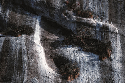 Rocky cliff with dry vegetation, a Background Photo by SkyNext