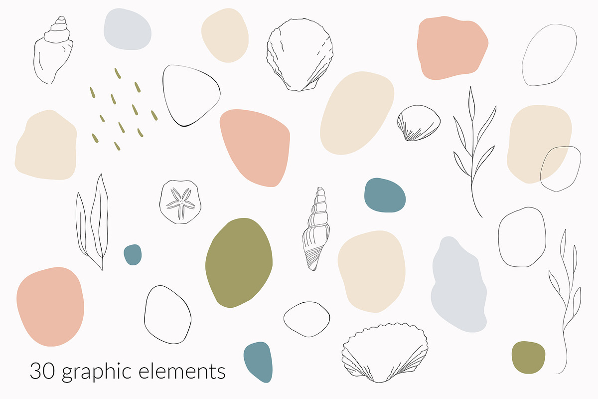 Seashells collection, a Background Graphic by Svyatoslava_M (Photo 7 of 8)