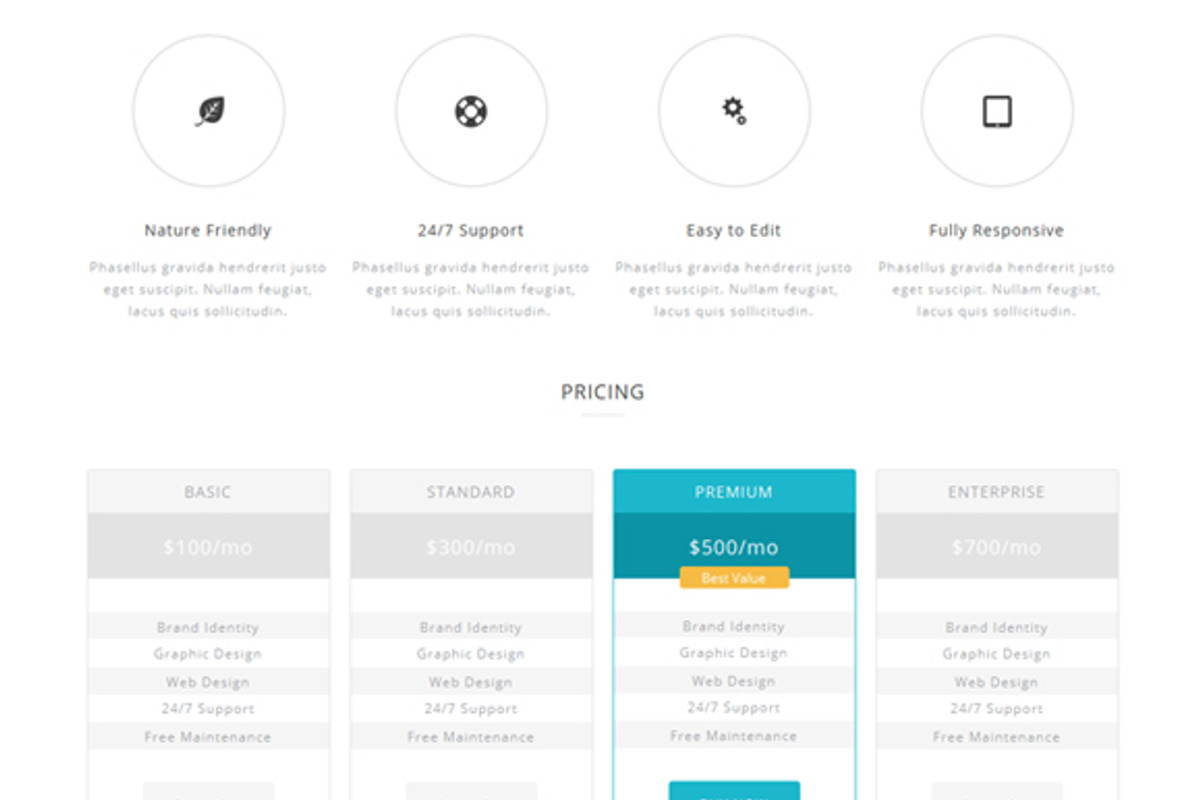 Dhruv - Minimal Muse/HTML Template, a HTML Template by WellMadePixel (Photo 4 of 5)