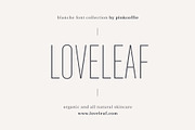 Blanche | Modern Sans Serif + Logos, a Sans Serif Font by Pink Coffie (Thumbnail 11 of 11)