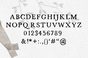 FONT DUO / STRANDLIEBE & kleinigkeit, a Serif Font by KruthDesign (Thumbnail 3 of 13)