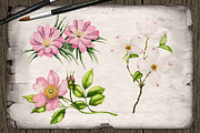 US State Flowers Part 4 Illustration, a Decorative Illustration by DioFlow (Thumbnail 4 of 4)