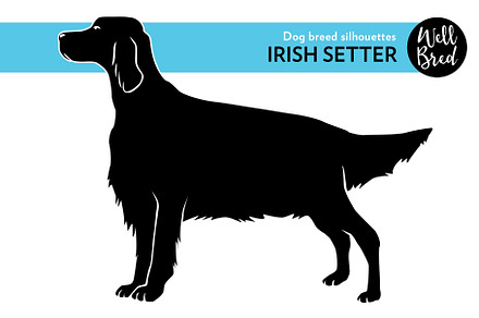 Irish Setter Vector SIlhouette